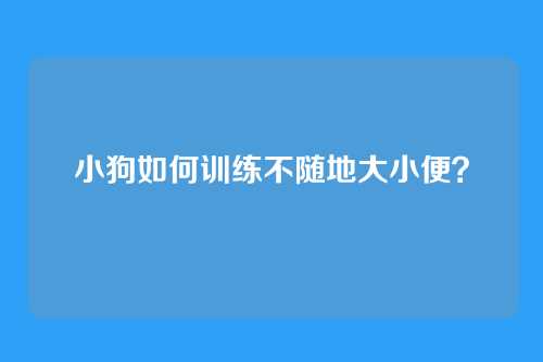 小狗如何训练不随地大小便？