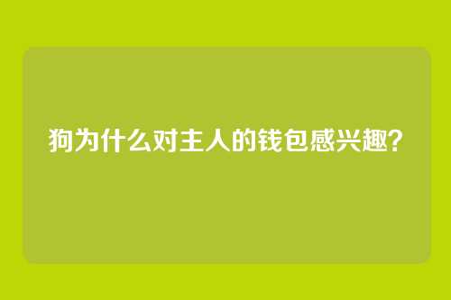 狗为什么对主人的钱包感兴趣？