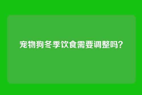 宠物狗冬季饮食需要调整吗？