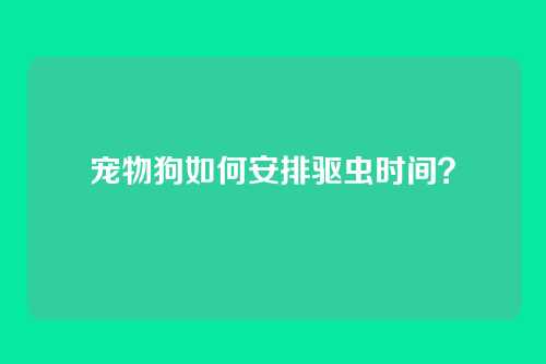 宠物狗如何安排驱虫时间？