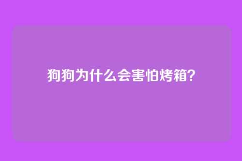 狗狗为什么会害怕烤箱？