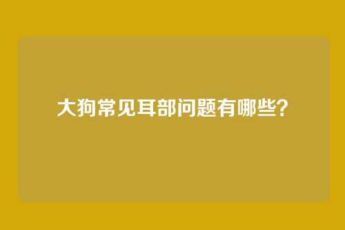 大狗常见耳部问题有哪些？