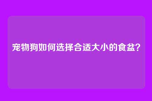 宠物狗如何选择合适大小的食盆？