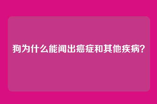 狗为什么能闻出癌症和其他疾病?