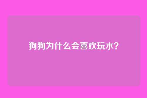 狗狗为什么会喜欢玩水？
