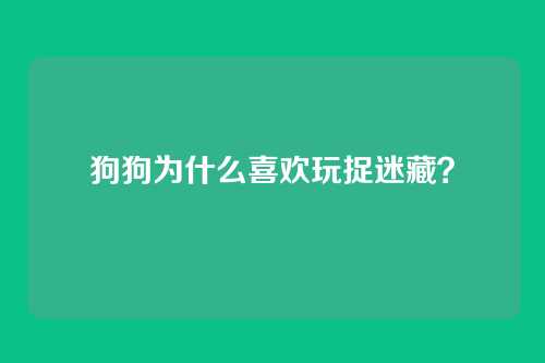 狗狗为什么喜欢玩捉迷藏？