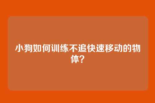 小狗如何训练不追快速移动的物体？