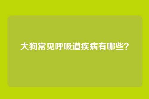 大狗常见呼吸道疾病有哪些?