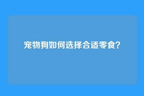 宠物狗如何选择合适零食?