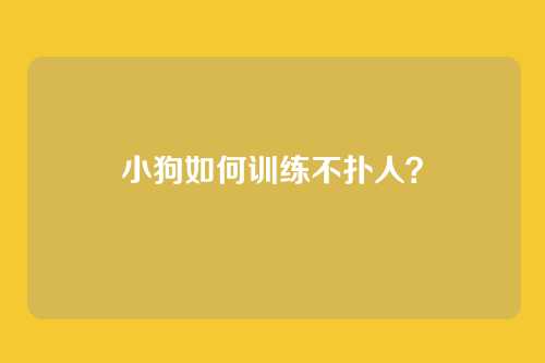 小狗如何训练不扑人?