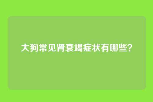 大狗常见肾衰竭症状有哪些？