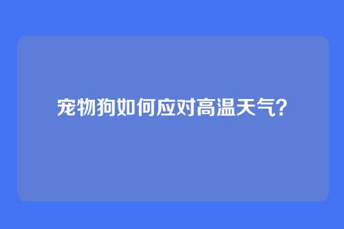 宠物狗如何应对高温天气？