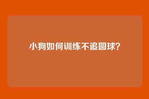 小狗如何训练不追圆球？