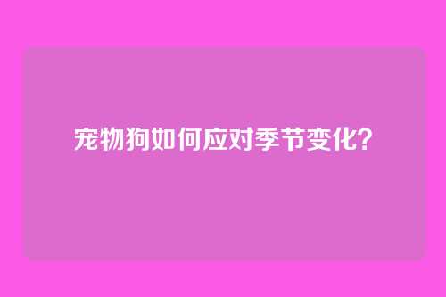 宠物狗如何应对季节变化？