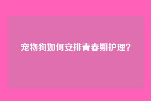 宠物狗如何安排青春期护理？