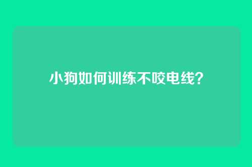 小狗如何训练不咬电线？