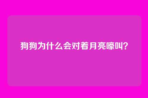 狗狗为什么会对着月亮嚎叫?