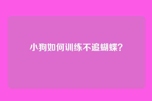 小狗如何训练不追蝴蝶？
