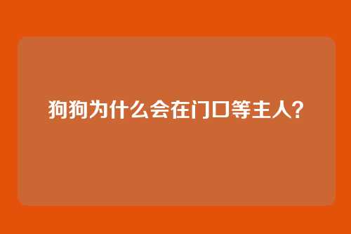 狗狗为什么会在门口等主人？