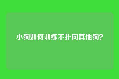 小狗如何训练不扑向其他狗？