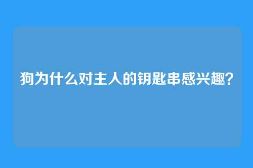 狗为什么对主人的钥匙串感兴趣？