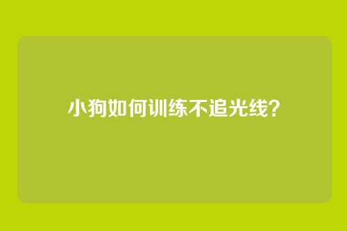 小狗如何训练不追光线？