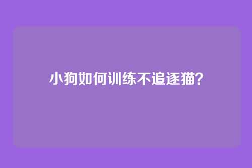 小狗如何训练不追逐猫？
