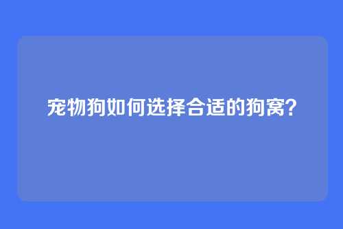 宠物狗如何选择合适的狗窝?
