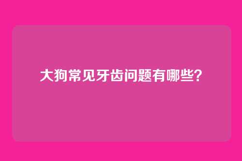 大狗常见牙齿问题有哪些？