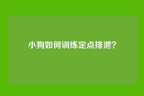 小狗如何训练定点排泄？