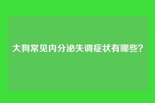 大狗常见内分泌失调症状有哪些？