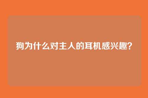 狗为什么对主人的耳机感兴趣？