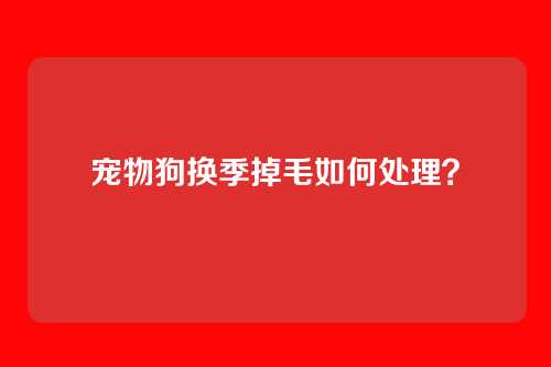宠物狗换季掉毛如何处理？
