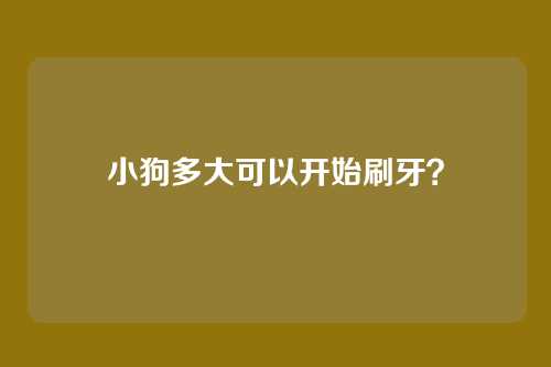 小狗多大可以开始刷牙？