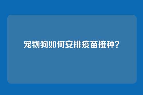 宠物狗如何安排疫苗接种？