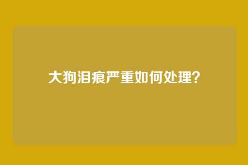 大狗泪痕严重如何处理?