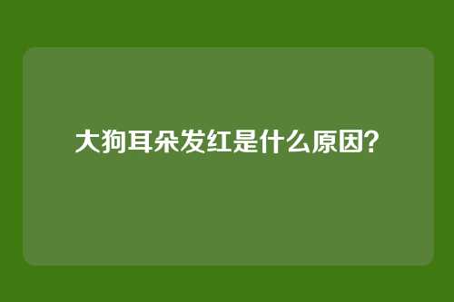大狗耳朵发红是什么原因？