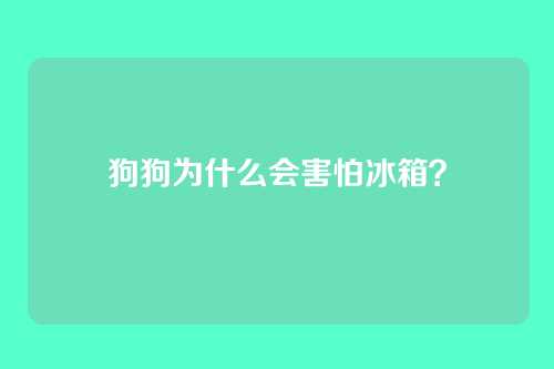 狗狗为什么会害怕冰箱？