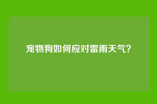 宠物狗如何应对雷雨天气？