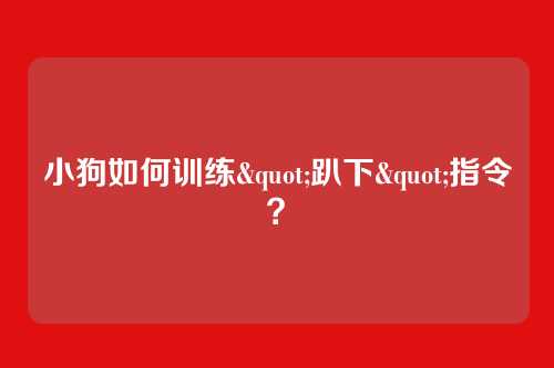小狗如何训练"趴下"指令?