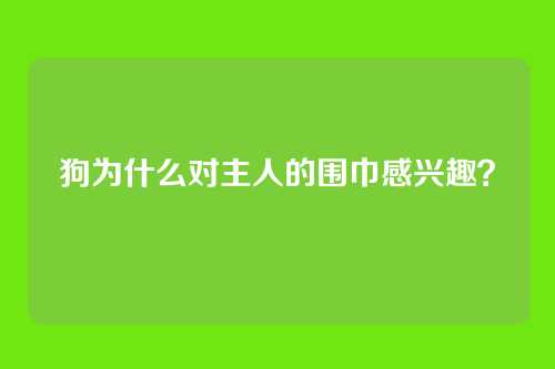 狗为什么对主人的围巾感兴趣？