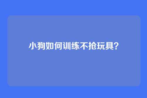 小狗如何训练不抢玩具？