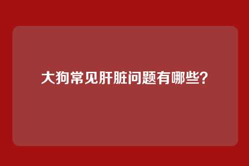 大狗常见肝脏问题有哪些?