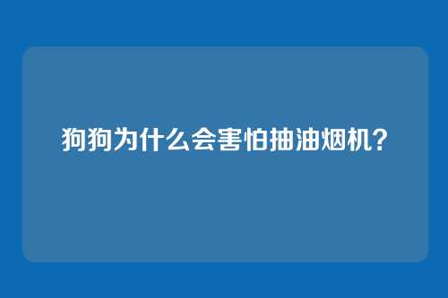 狗狗为什么会害怕抽油烟机？