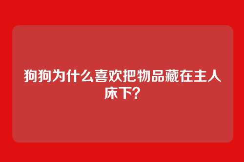 狗狗为什么喜欢把物品藏在主人床下?