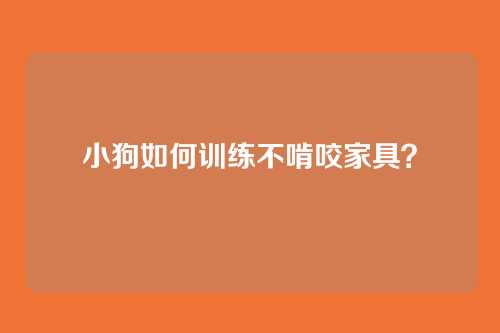 小狗如何训练不啃咬家具？