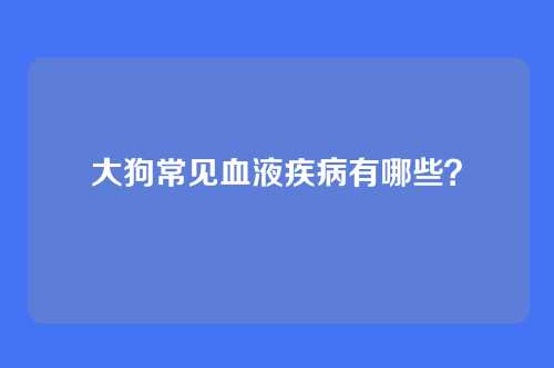 大狗常见血液疾病有哪些？