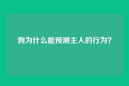 狗为什么能预测主人的行为？