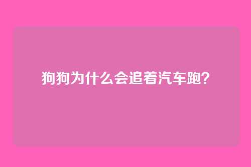 狗狗为什么会追着汽车跑？