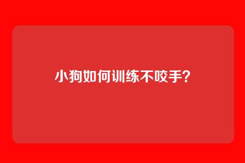 小狗如何训练不咬手?